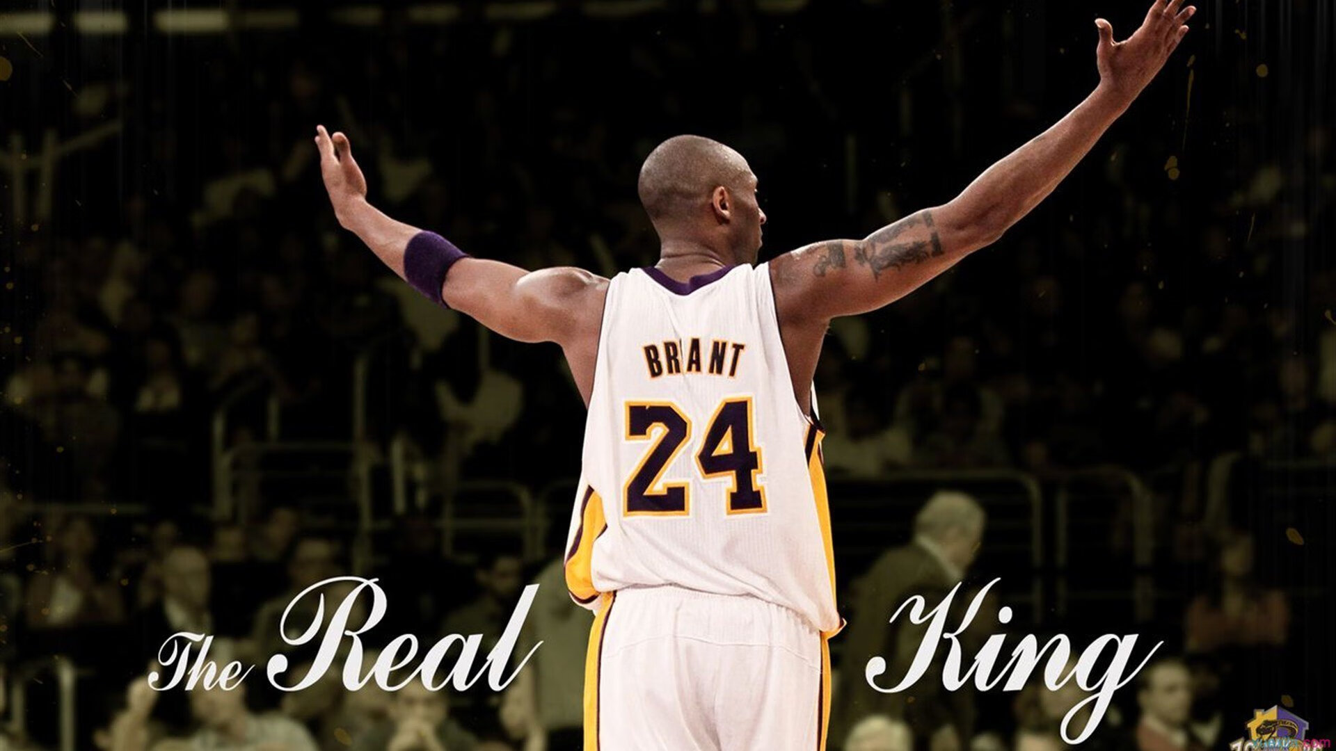 VALORANT 赛事解说团队专业提升，valorant职业战队