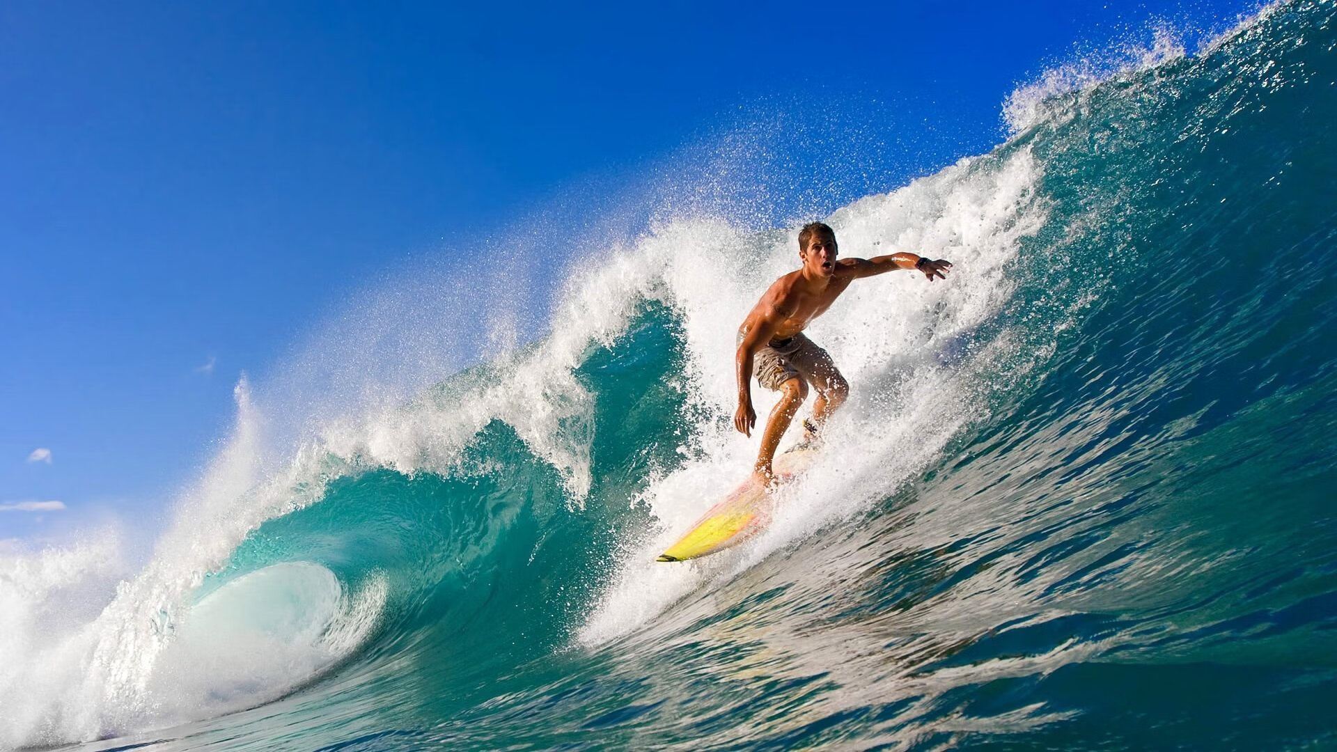 守望先锋 战队新星崭露头角，守望先锋最新阵容